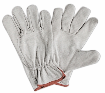 Argon Gloves - AK/LO27G